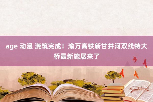 age 动漫 浇筑完成！渝万高铁新甘井河双线特大桥最新施展来了