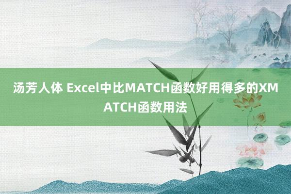 汤芳人体 Excel中比MATCH函数好用得多的XMATCH函数用法