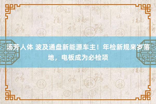 汤芳人体 波及通盘新能源车主！年检新规来岁落地，电板成为必检项