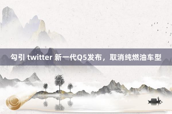 勾引 twitter 新一代Q5发布，取消纯燃油车型