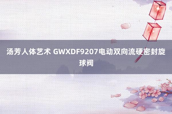 汤芳人体艺术 GWXDF9207电动双向流硬密封旋球阀