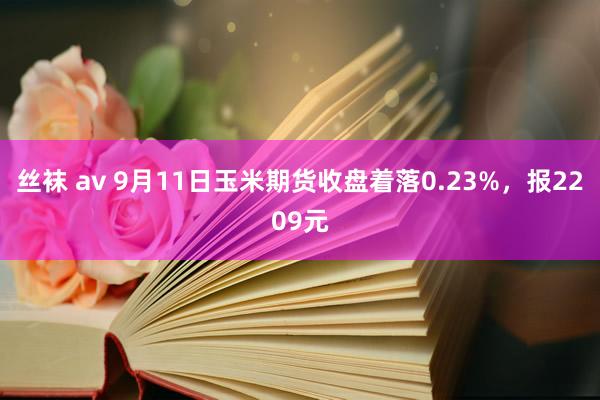 丝袜 av 9月11日玉米期货收盘着落0.23%，报2209元