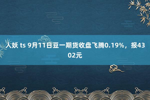 人妖 ts 9月11日豆一期货收盘飞腾0.19%，报4302元