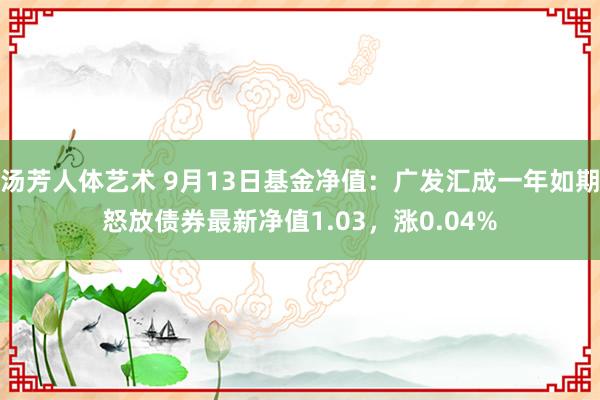 汤芳人体艺术 9月13日基金净值：广发汇成一年如期怒放债券最新净值1.03，涨0.04%