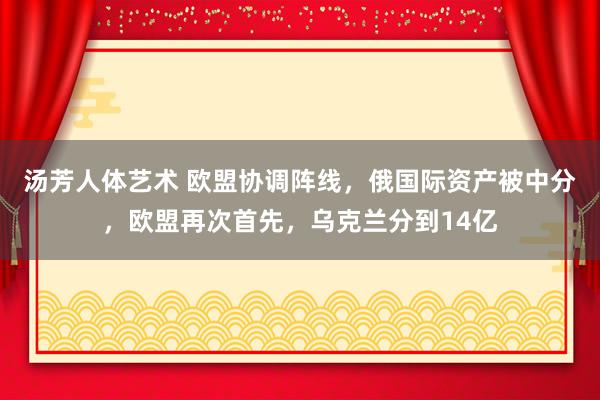 汤芳人体艺术 欧盟协调阵线，俄国际资产被中分，欧盟再次首先，乌克兰分到14亿