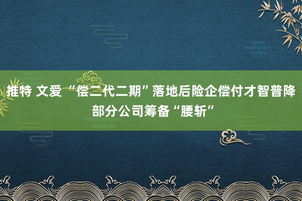 推特 文爱 “偿二代二期”落地后险企偿付才智普降 部分公司筹备“腰斩”