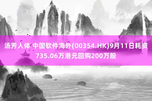 汤芳人体 中国软件海外(00354.HK)9月11日耗资735.06万港元回购200万股