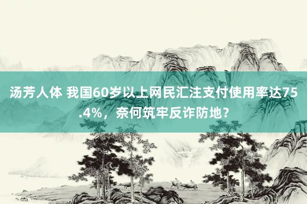 汤芳人体 我国60岁以上网民汇注支付使用率达75.4%，奈何筑牢反诈防地？