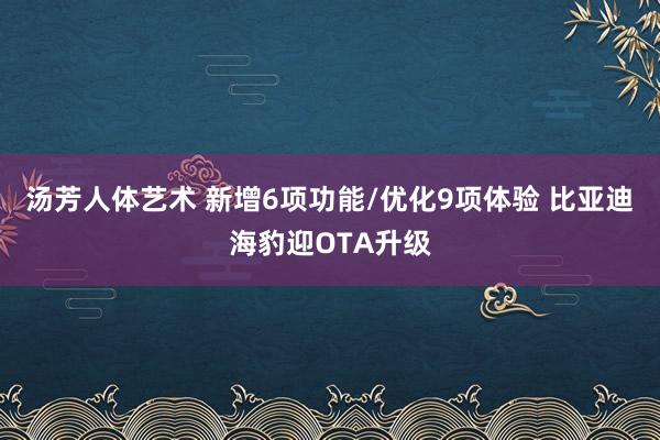 汤芳人体艺术 新增6项功能/优化9项体验 比亚迪海豹迎OTA升级