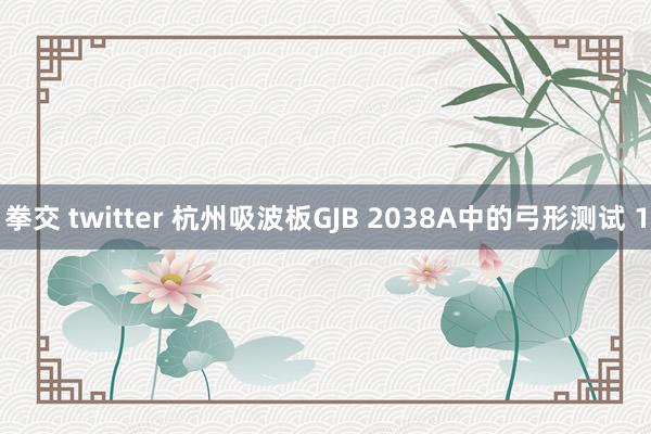 拳交 twitter 杭州吸波板GJB 2038A中的弓形测试 1