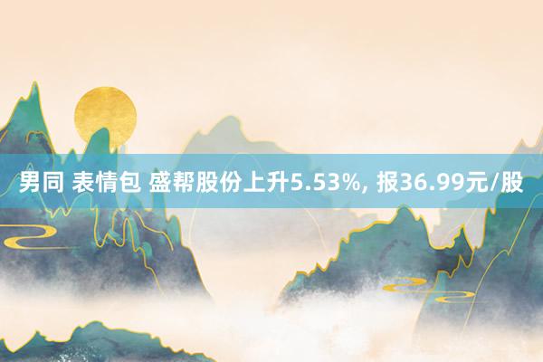 男同 表情包 盛帮股份上升5.53%， 报36.99元/股