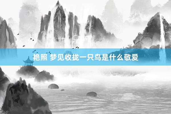 艳照 梦见收拢一只鸟是什么敬爱