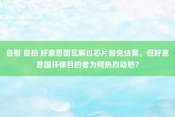 自慰 自拍 好意思国瓦解过芯片豁免法案，但好意思国环保目的者为何热烈动怒？