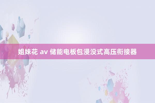 姐妹花 av 储能电板包浸没式高压衔接器