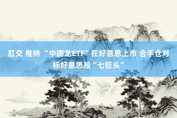 肛交 推特 “中国龙ETF”在好意思上市 合手仓对标好意思股“七巨头”