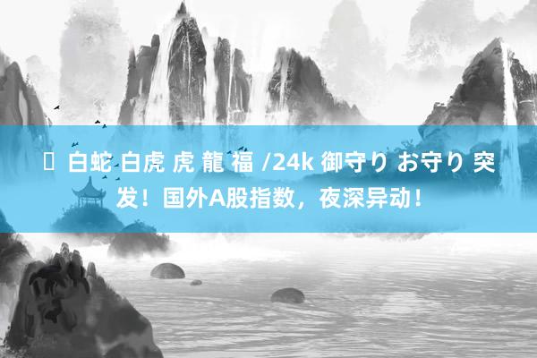 ✨白蛇 白虎 虎 龍 福 /24k 御守り お守り 突发！国外A股指数，夜深异动！