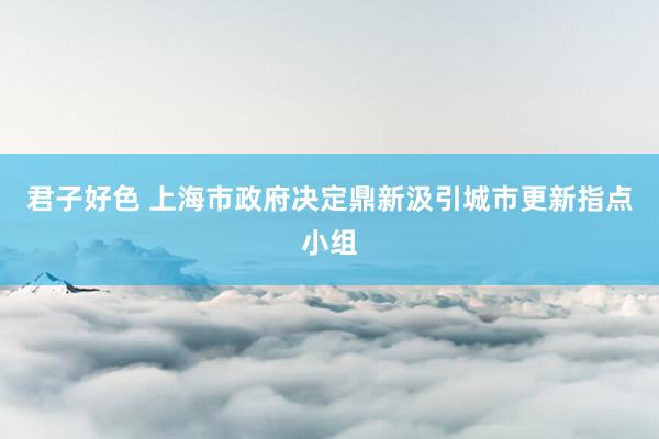 君子好色 上海市政府决定鼎新汲引城市更新指点小组