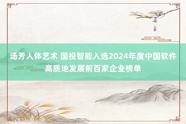 汤芳人体艺术 国投智能入选2024年度中国软件高质地发展前百家企业榜单