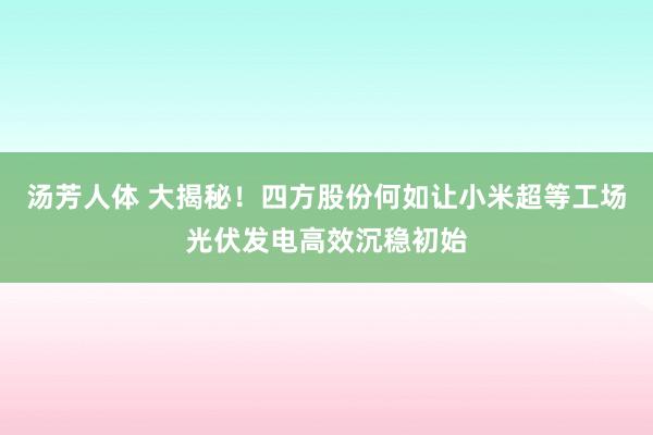 汤芳人体 大揭秘！四方股份何如让小米超等工场光伏发电高效沉稳初始