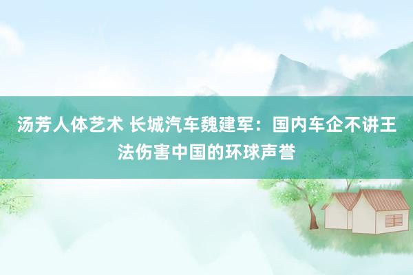 汤芳人体艺术 长城汽车魏建军：国内车企不讲王法伤害中国的环球声誉