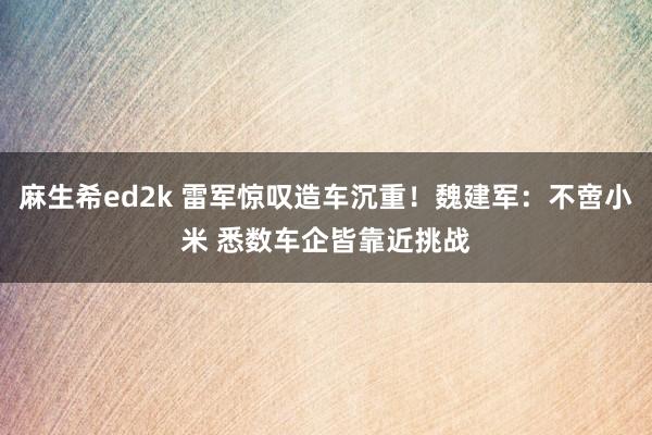 麻生希ed2k 雷军惊叹造车沉重！魏建军：不啻小米 悉数车企皆靠近挑战