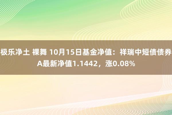 极乐净土 裸舞 10月15日基金净值：祥瑞中短债债券A最新净值1.1442，涨0.08%