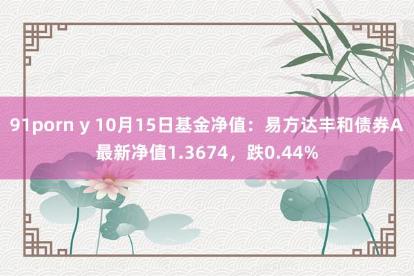 91porn y 10月15日基金净值：易方达丰和债券A最新净值1.3674，跌0.44%