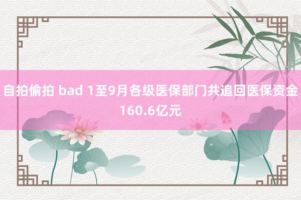 自拍偷拍 bad 1至9月各级医保部门共追回医保资金160.6亿元