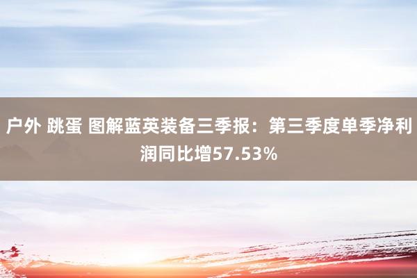 户外 跳蛋 图解蓝英装备三季报：第三季度单季净利润同比增57.53%