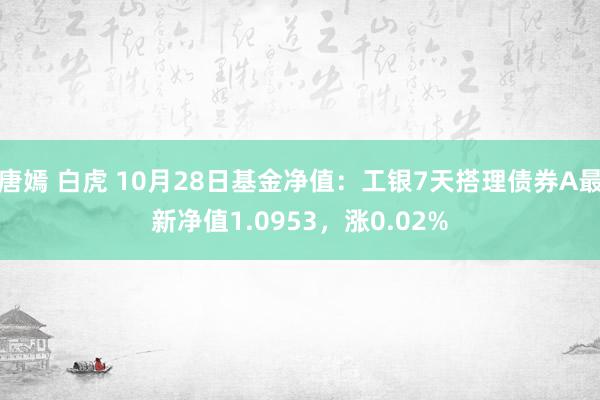 唐嫣 白虎 10月28日基金净值：工银7天搭理债券A最新净值1.0953，涨0.02%