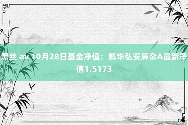 黑丝 av 10月28日基金净值：鹏华弘安羼杂A最新净值1.5173