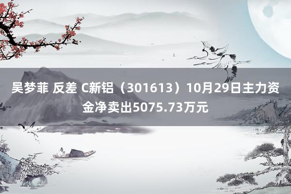 吴梦菲 反差 C新铝（301613）10月29日主力资金净卖出5075.73万元