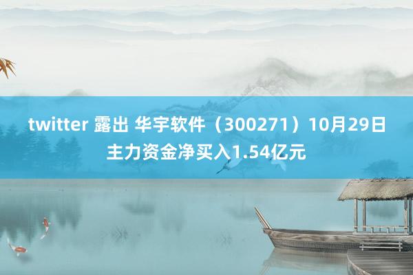 twitter 露出 华宇软件（300271）10月29日主力资金净买入1.54亿元