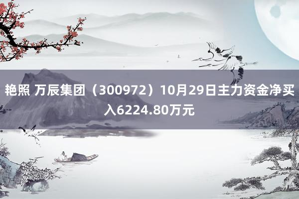 艳照 万辰集团（300972）10月29日主力资金净买入6224.80万元