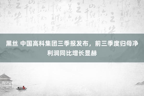 黑丝 中国高科集团三季报发布，前三季度归母净利润同比增长显赫