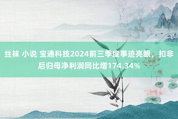 丝袜 小说 宝通科技2024前三季度事迹亮眼，扣非后归母净利润同比增174.34%