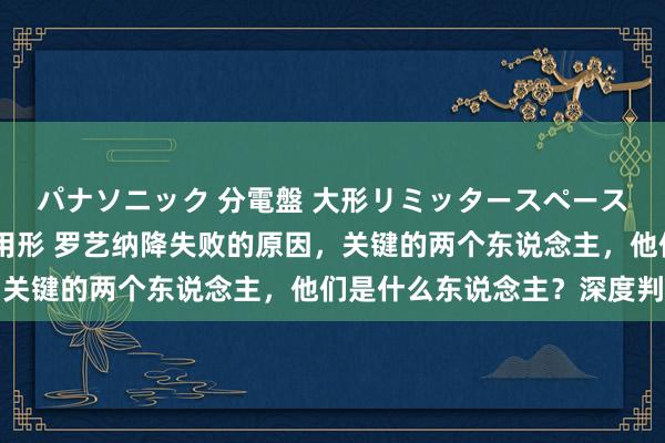 パナソニック 分電盤 大形リミッタースペースなし 露出・半埋込両用形 罗艺纳降失败的原因，关键的两个东说念主，他们是什么东说念主？深度判辨