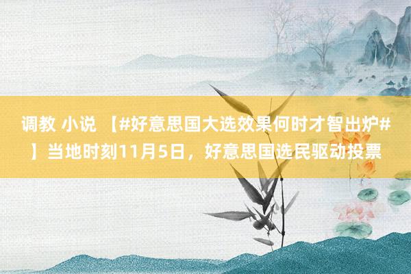 调教 小说 【#好意思国大选效果何时才智出炉#】当地时刻11月5日，好意思国选民驱动投票