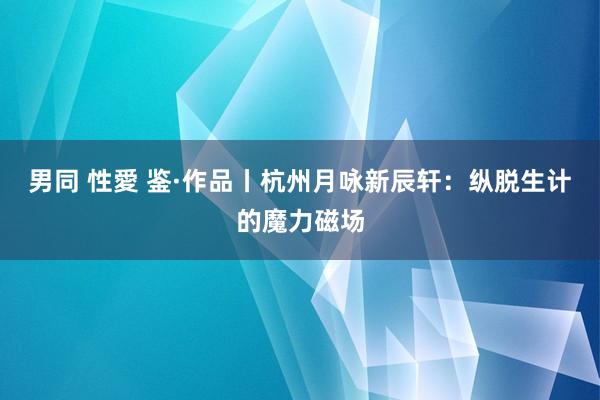 男同 性愛 鉴·作品丨杭州月咏新辰轩：纵脱生计的魔力磁场