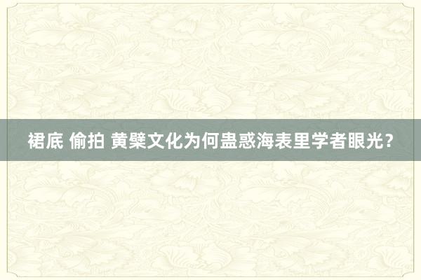 裙底 偷拍 黄檗文化为何蛊惑海表里学者眼光？