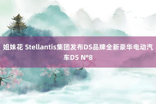 姐妹花 Stellantis集团发布DS品牌全新豪华电动汽车DS N°8