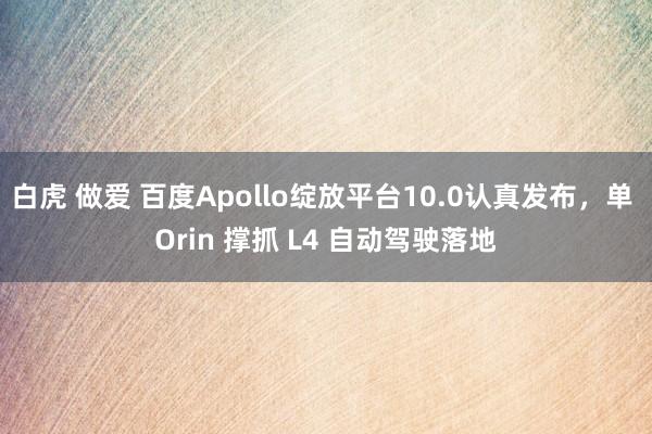 白虎 做爱 百度Apollo绽放平台10.0认真发布，单 Orin 撑抓 L4 自动驾驶落地