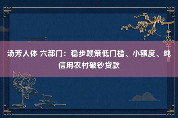 汤芳人体 六部门：稳步鞭策低门槛、小额度、纯信用农村破钞贷款