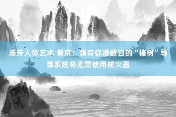 汤芳人体艺术 普京：领有弥漫数目的“榛树”导弹系统将无需使用核火器