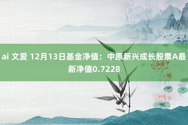 ai 文爱 12月13日基金净值：中原新兴成长股票A最新净值0.7228