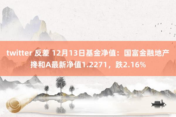 twitter 反差 12月13日基金净值：国富金融地产搀和A最新净值1.2271，跌2.16%