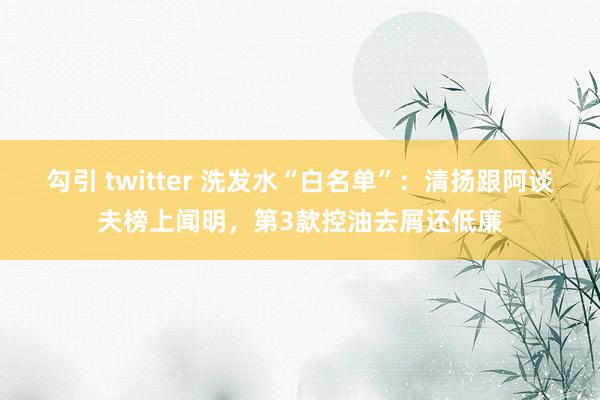 勾引 twitter 洗发水“白名单”：清扬跟阿谈夫榜上闻明，第3款控油去屑还低廉