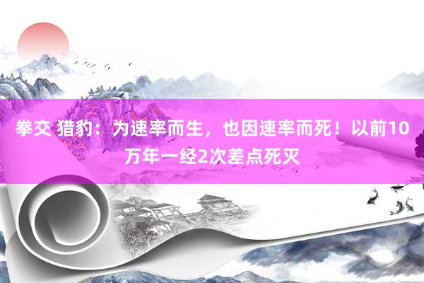 拳交 猎豹：为速率而生，也因速率而死！以前10万年一经2次差点死灭