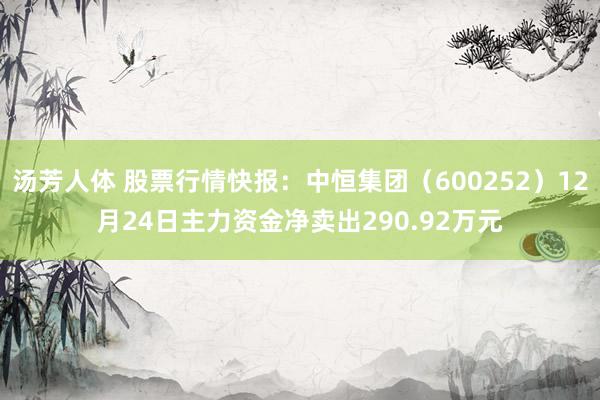 汤芳人体 股票行情快报：中恒集团（600252）12月24日主力资金净卖出290.92万元