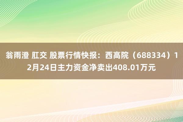 翁雨澄 肛交 股票行情快报：西高院（688334）12月24日主力资金净卖出408.01万元